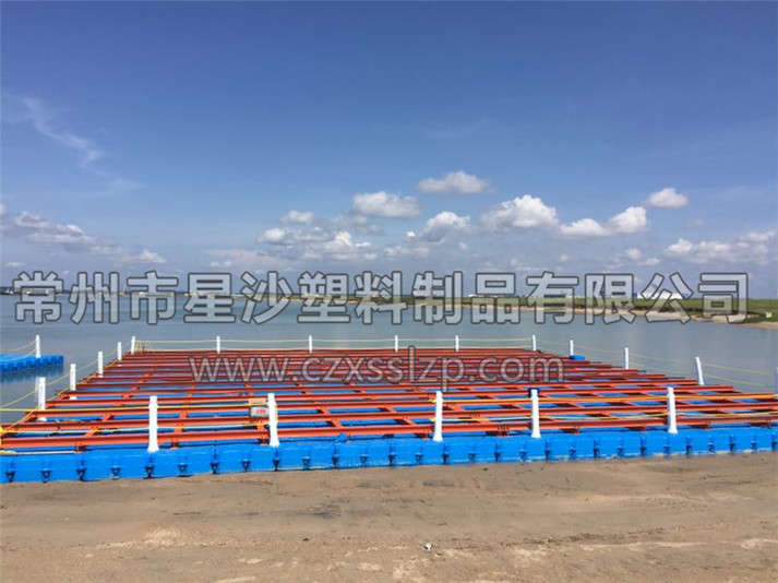 常州市星沙塑料制品有限公司客戶案例-新加坡抽沙平臺(tái)1