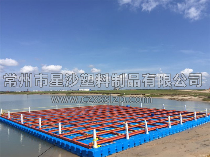 常州市星沙塑料制品有限公司客戶案例-新加坡抽沙平臺(tái)2