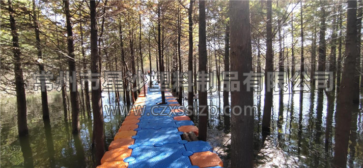 落羽杉濕地公園水上浮橋現(xiàn)場照-星沙浮筒5