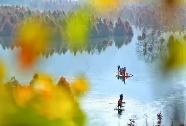 落羽杉濕地公園水上浮橋現(xiàn)場照-星沙浮筒8