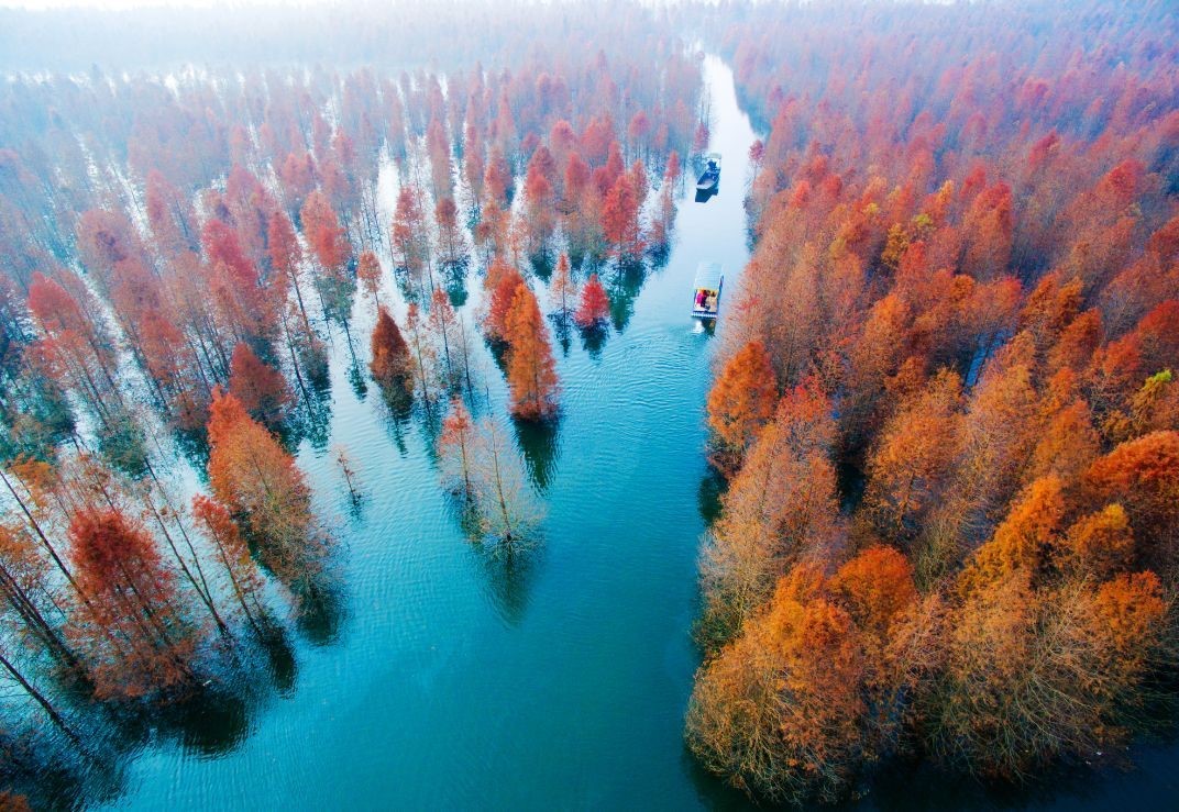 落羽杉濕地公園水上浮橋現(xiàn)場照-星沙浮筒7