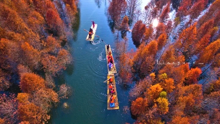 落羽杉濕地公園水上浮橋現(xiàn)場照-星沙浮筒9