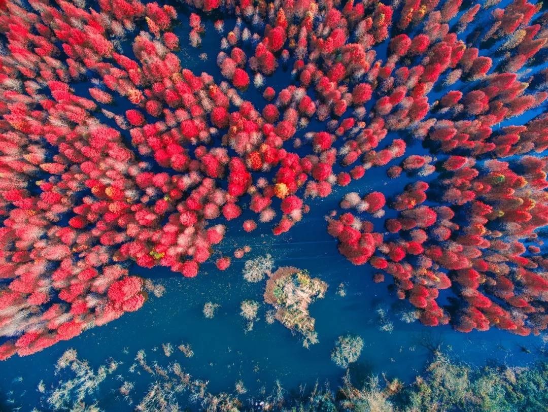 落羽杉濕地公園水上浮橋現(xiàn)場照-星沙浮筒11